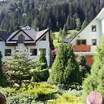Pensjonat Soltis