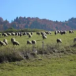 Soltis ゲストハウス