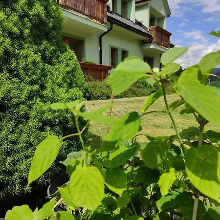 게스트하우스 Soltis 3*