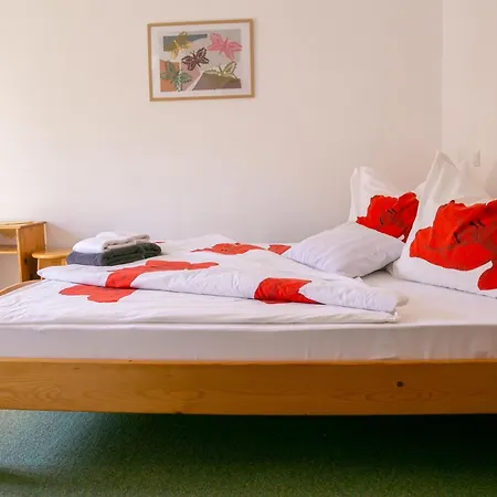 Soltis Guest house *
