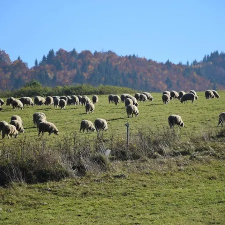 Soltis 게스트하우스